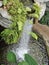 Nashville indoor waterfall tropical Park garden flowers plants guitar country music