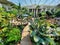 Nashville, Tennessee, U.S - June 26, 2022 - The walking path by tropical plants inside of Gaylord Opryland Resort and Convention