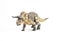 Nasutoceratops Dinosaur on white background