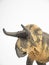 Nasutoceratops Dinosaur on white background