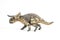 Nasutoceratops Dinosaur on white background