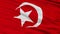 Nation Of Islam Flag Closeup Seamless Loop