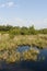 Nationaal Park De Groote Peel, National Park Groote Peel