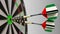 National achievement. Flags of the United Arab Emirates UAE on darts hitting bullseye. Conceptual animation