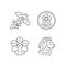 National animal and flower of Singapore linear icons set