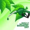 National Biodiesel Day