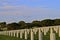 National Cemetery Headstones