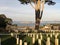  National Cemetery Presidio San Francisco Overlooking Alcatraz.