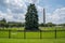 The National Christmas Tree in Presidents Park in the Ellipse area of the White House in Washington DC. Shown during summer