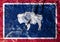 National flag of American state Wyoming on blue with a red border painted on mountain wall. In center is silhouette white bison