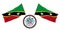 .National flag and the coat of arms 3D illustration of Saint Kitts and Nevis. Background for editors and designers. National