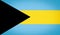 The national flag of the Commonwealth of The Bahamas, black triangle blue and yellow stipes, Illustration image