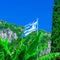 National flag of Greece on the flagpole against of bananas leaf and cypress tree and green mountain slopes. Mediterranean sea,