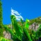 National flag of Greece on the flagpole against of bananas leaf and cypress tree and green mountain slopes. Mediterranean sea,
