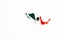 National flag of Mexico. Country outline on white background with copy space. Politics illustration