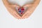 The national flag of Norway in female hands. The concept of patriotism, respect and solidarity with the citizens of Norway