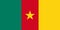 The national flag of the Republic of Cameroon is isolated in official colors