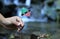 National flag of Saint Kitts and Nevis on wooden stick. Teenager holds national athem near waterfall on stream in autumn times.