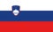 National Flag Slovenia