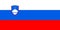 The national flag of Slovenia. Slovenia flag