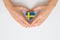 The national flag of Sweden in female hands.