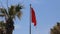 National flag of Tunisia