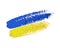 National flag of Ukraine blue and yellow strokes isolated on white background. Brush painted grunge