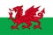National Flag of Wales, detailed design. Vector illustration