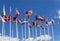 National flags on the masts. The flags of the United States, Germany, Belgium, Italia,Israel, Turkey and other