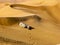 National Geographic Photographer photographing sand blowing off desert dunes