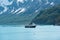 National Geographic Sea Bird in Glacier Bay