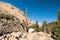 National Heritage Area with Ancient Limber Pine and Bristle Cone Pine Trees