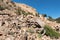 National Heritage Area with Ancient Limber Pine and Bristle Cone Pine Trees