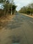 NATIONAL HIGHWAY OF  INDIA THROUGRH FOREST SAL TREE