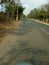 NATIONAL HIGHWAY OF  INDIA THROUGRH FOREST SAL TREE