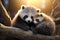 National Hugging Day. Cute animated animals hug each other. celebration of warm, heartfelt embraces emotional connection