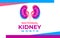 The National Kidney Month vector illustration. Banner, poster for prevention of kidney diseases. Two human kidneys in an abstract