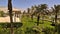 The National Museum of Egyptian Civilization in Cairo, Egypt, contains 22 mummies of the kings and queens of Egypt in the eras of