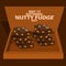 National Nutty Fudge Day on May 12