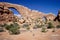 National park of arches