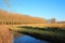 The National Park de Biesbosch in the Province South Holland, the Netherlands, a panoramic view