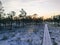 National park Kemeri. Wetlands in Latvia. Tourist route in the nature reserve. First snow in december. Vertical photo.