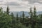 National Park in the middle of Russia, in the Urals. View of endless deciduous and coniferous forests. Tourism and