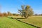 National Park Odertal in Germany, unique floodplain landscape