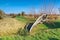 National Park Odertal in Germany, unique floodplain landscape