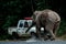 National park officer is negotiate with elephant