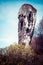 National Park in Ojcow - Poland. Rock called Hercules\' Club.