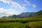 National park Skadar Lake,Montenegro