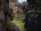 National Park Thingvellir in autumn colors in Iceland i