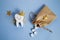 National Tooth Fairy Day. Children tooth fairy. Cute tooth with wings, a crown and a magic wand and bag with teeth.